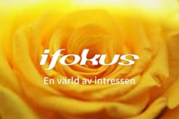 Bli medlem på iFokus! 